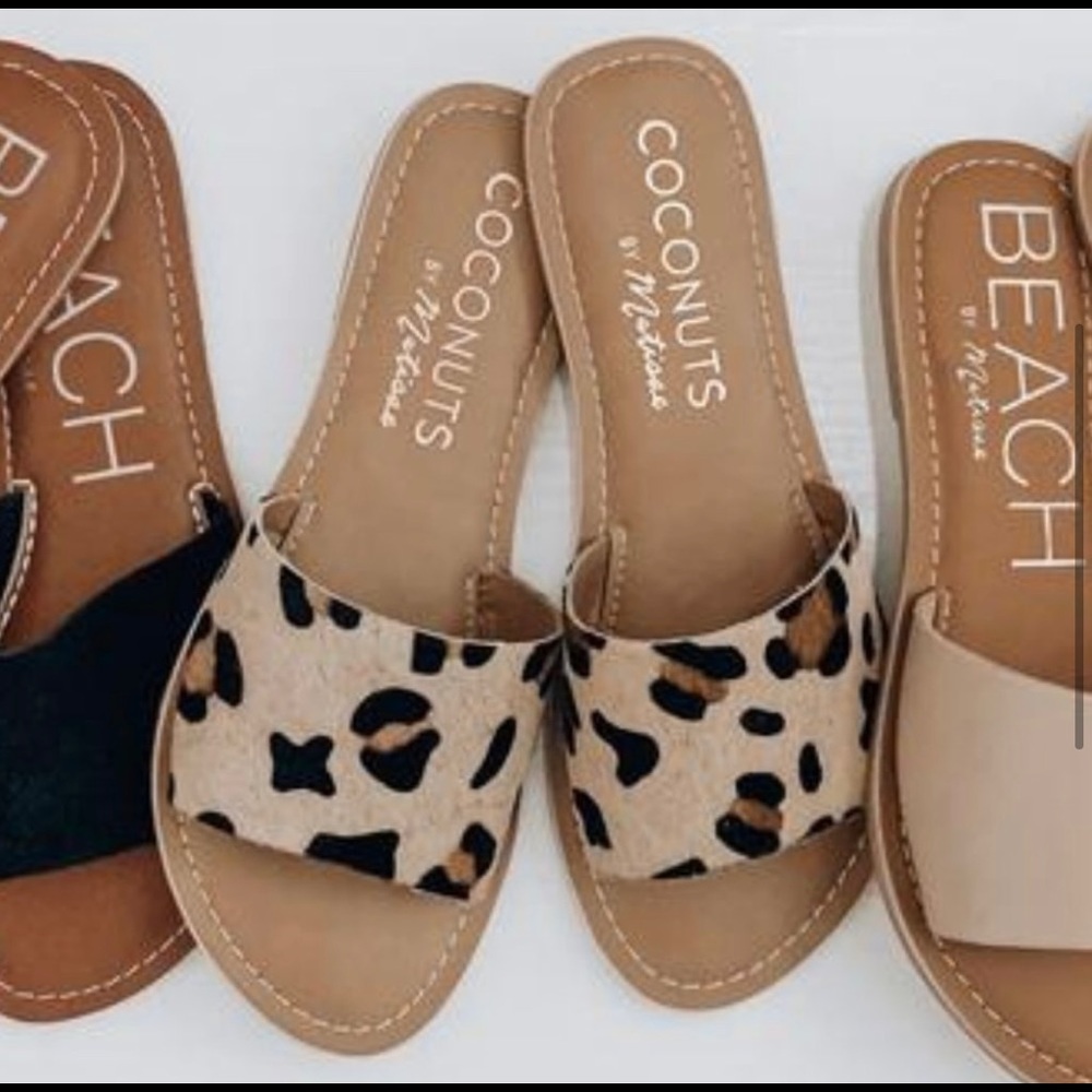Coconut Matisse Slides